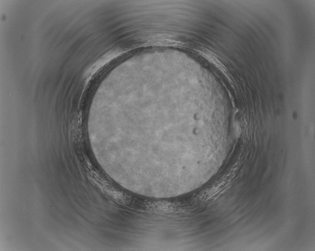 X0000067390971200604211629