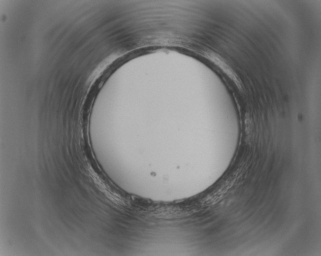 X0000067390972200604211629