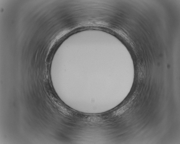 X0000067390974200604211629