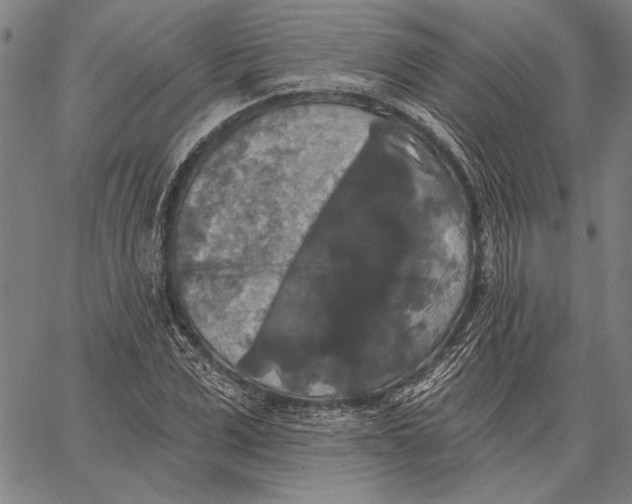 X0000067390975200604211629