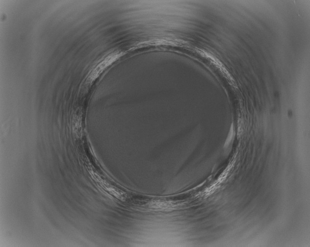 X0000067390977200604211629