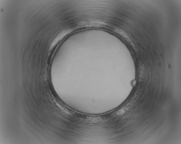 X0000067390978200604211629