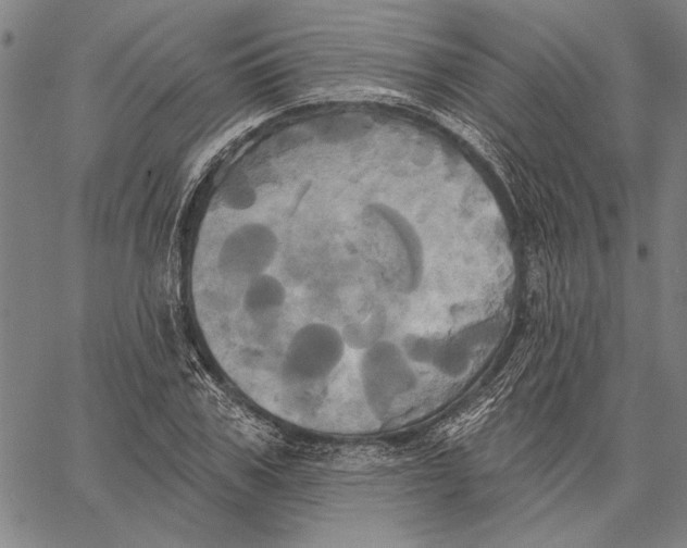 X0000067390979200604211629