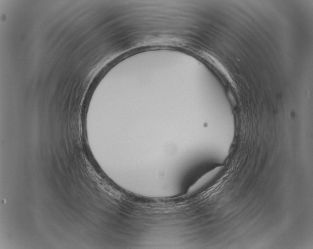 X0000067390980200604211629