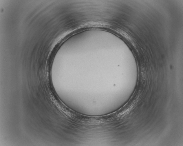 X0000067390981200604211629