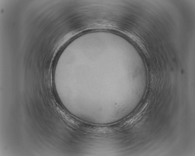 X0000067390982200604211629