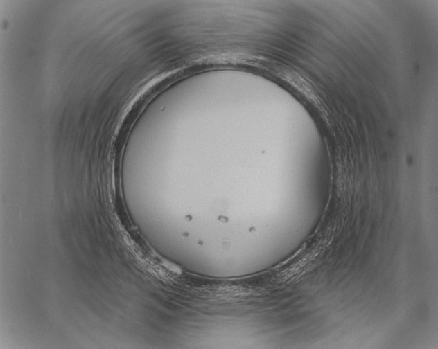 X0000067390984200604211629