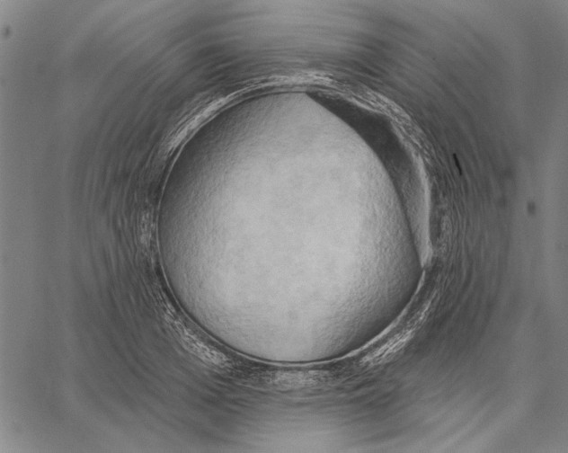 X0000067390985200604211629