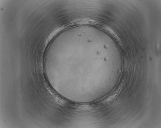 X0000067390986200604211629