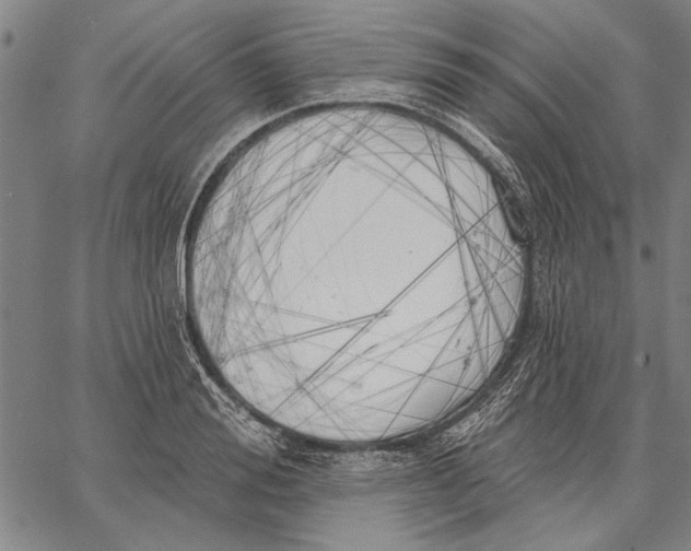 X0000067390988200604211629