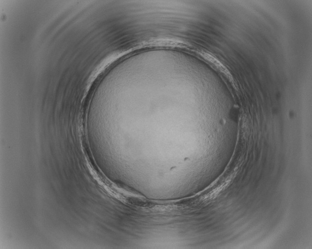 X0000067390989200604211629