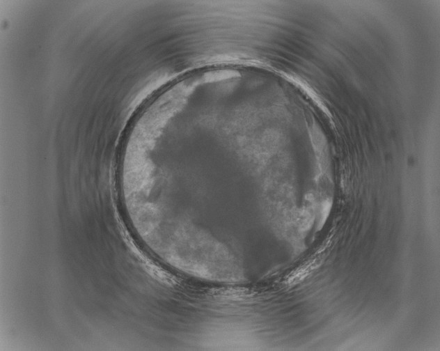 X0000067390991200604211629