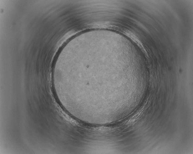 X0000067390992200604211629