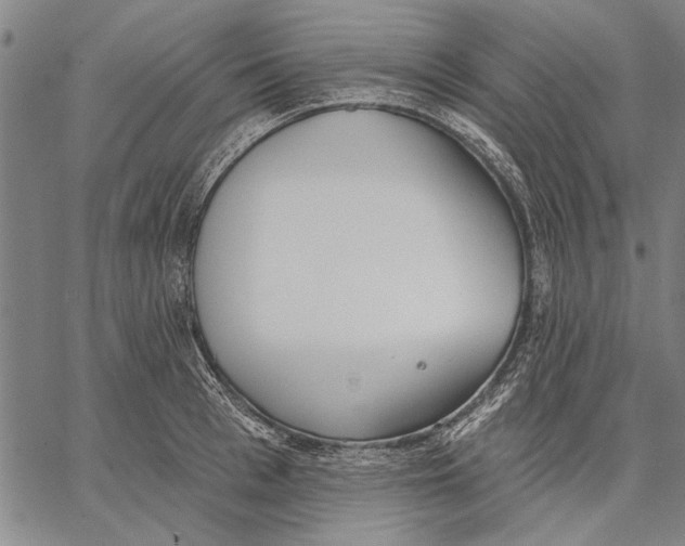 X0000067390993200604211629