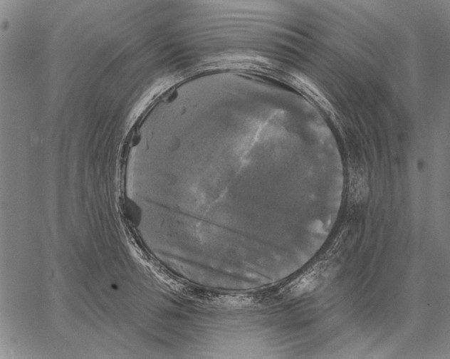 X0000067390994200604211629