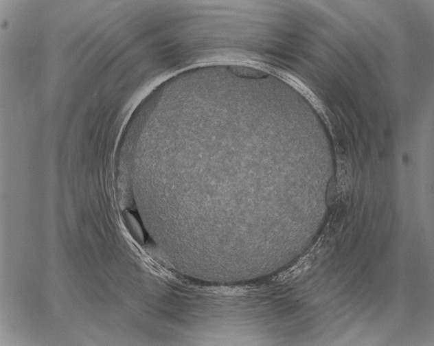 X0000067390996200604211629