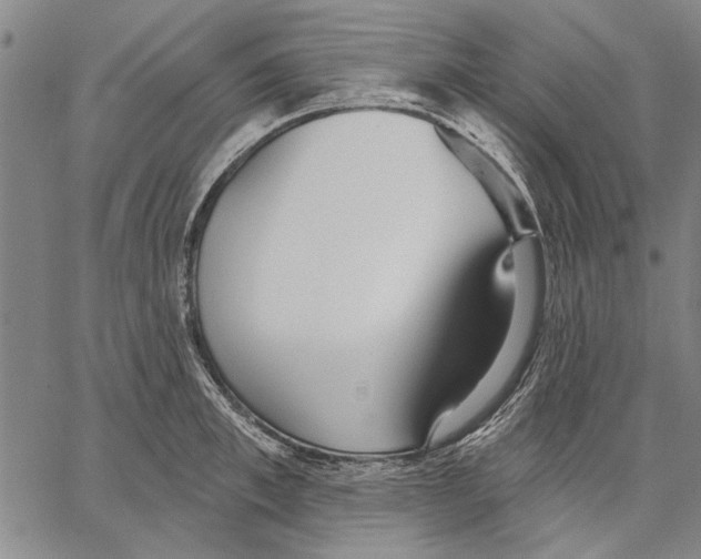 X0000067390997200604211629