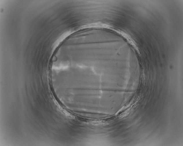 X0000067390998200604211629