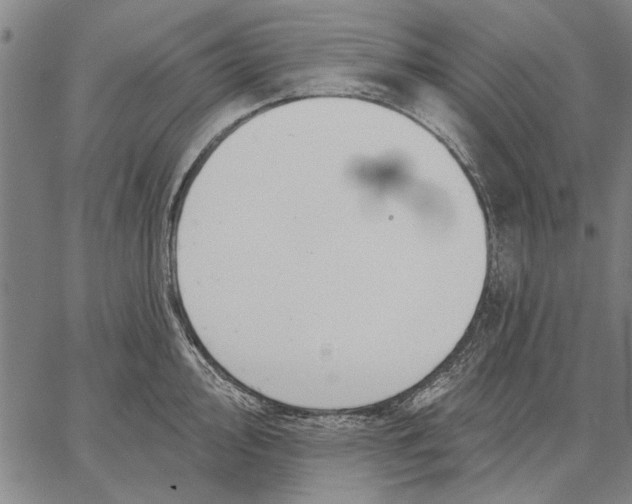 X0000067391000200604211629