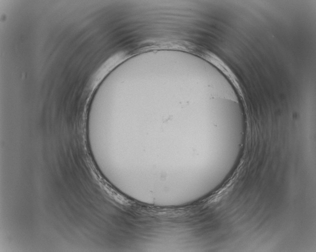 X0000067391002200604211629