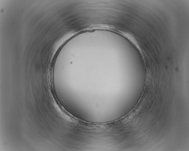 X0000067391003200604211629