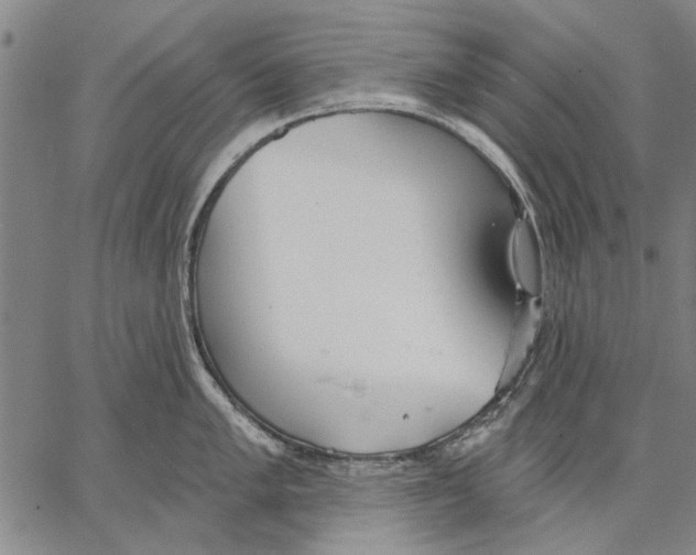 X0000067391005200604211629