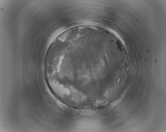 X0000067391007200604211629