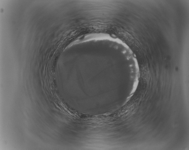 X0000067391009200604211628