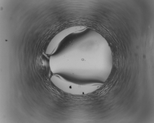 X0000067391010200604211628