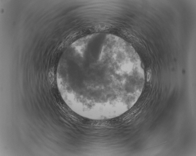 X0000067391011200604211628