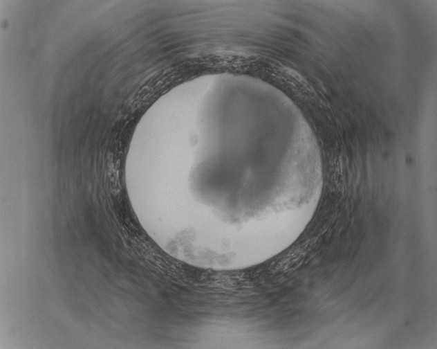 X0000067391013200604211628