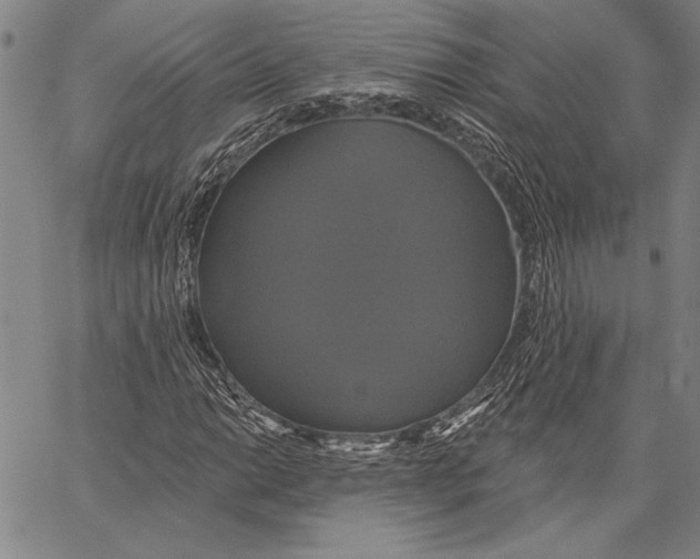 X0000067391014200604211628