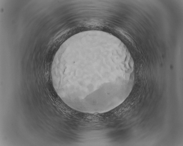 X0000067391015200604211628