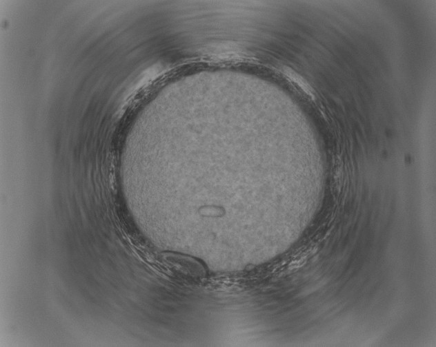 X0000067391016200604211628