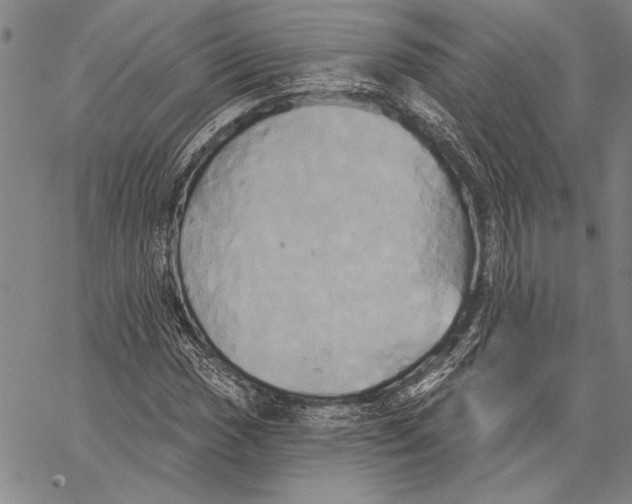 X0000067391017200604211628