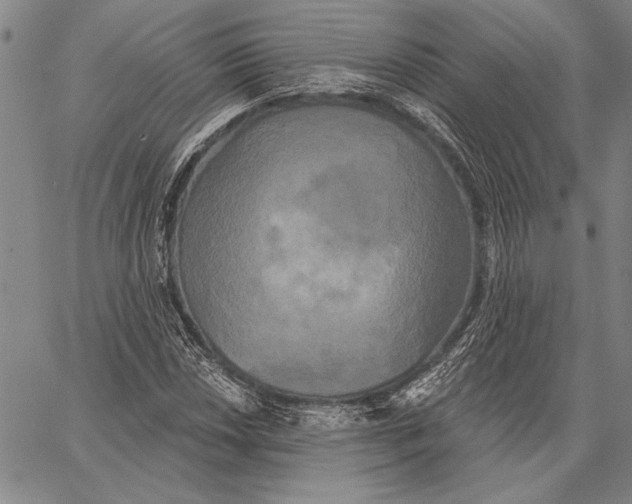 X0000067391018200604211628