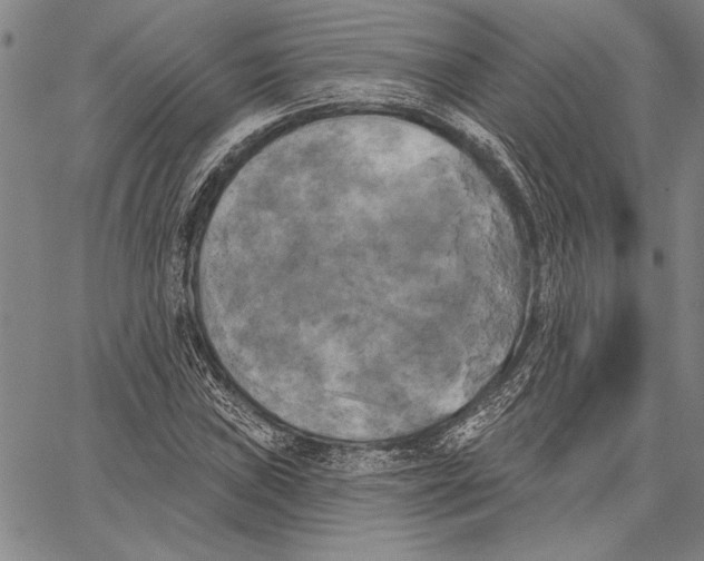 X0000067391019200604211628