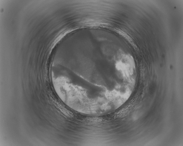 X0000067391023200604211628