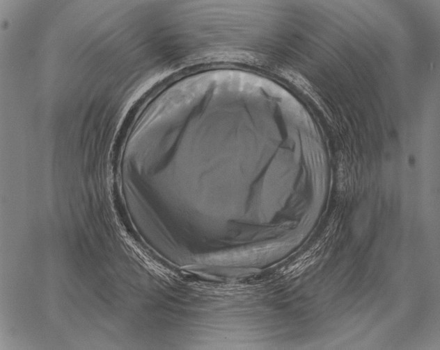 X0000067391024200604211628