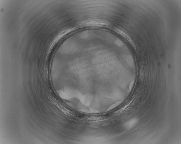 X0000067391027200604211628