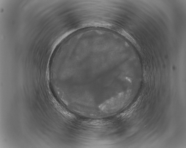 X0000067391028200604211628