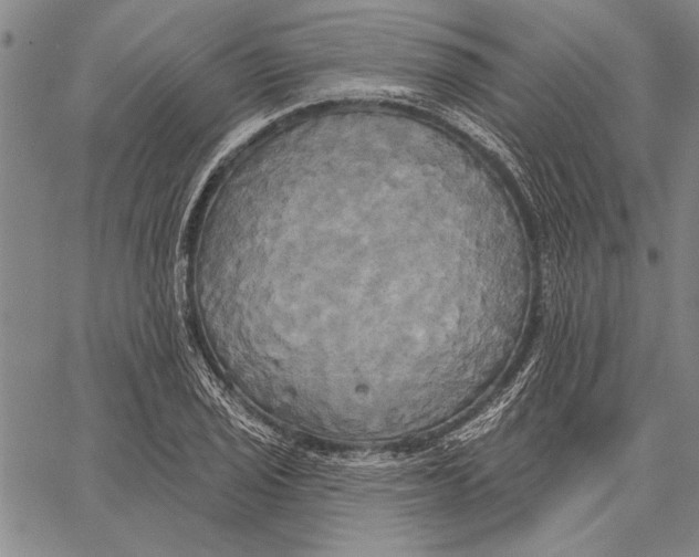 X0000067391029200604211628