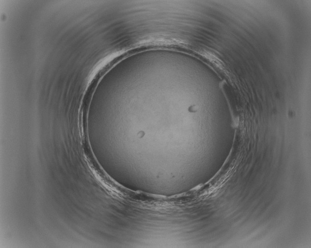 X0000067391030200604211628