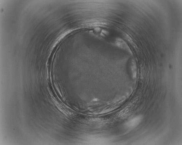 X0000067391031200604211628