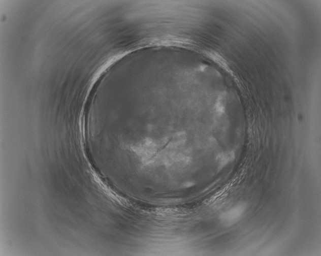 X0000067391032200604211628