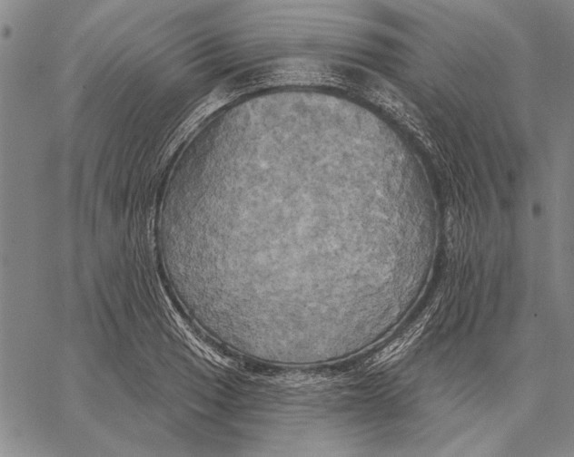 X0000067391033200604211628