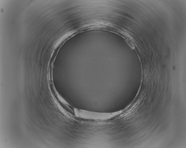 X0000067391034200604211628