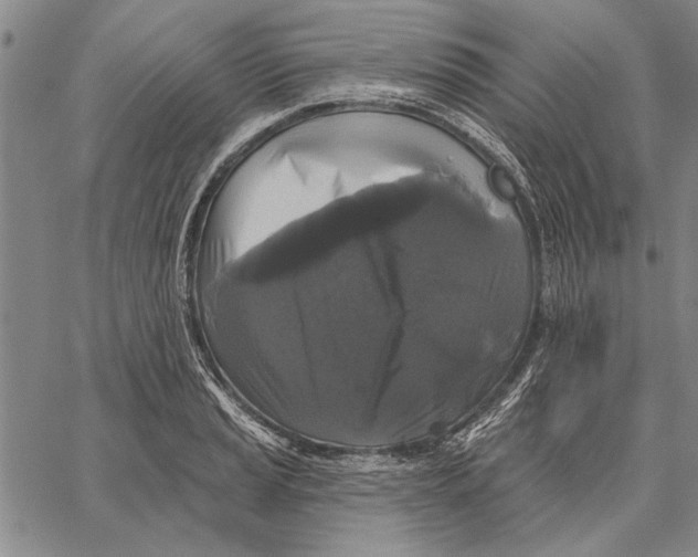 X0000067391037200604211628