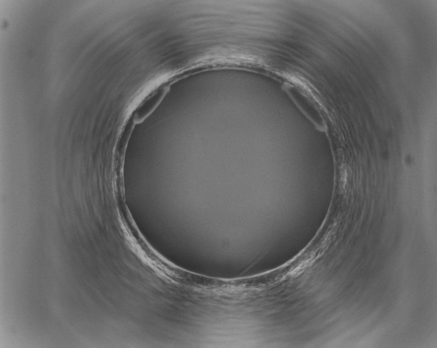 X0000067391038200604211628