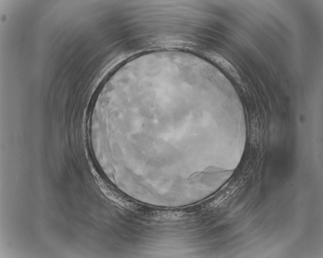 X0000067391039200604211628